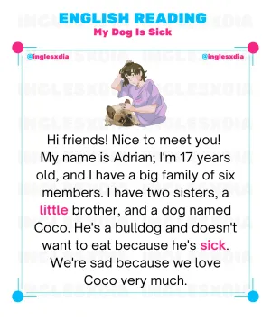 My Dog Is Sick